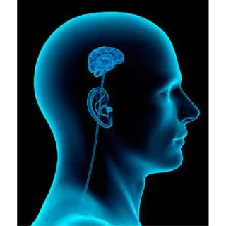 🧠 Стикер «Люди» для Telegram