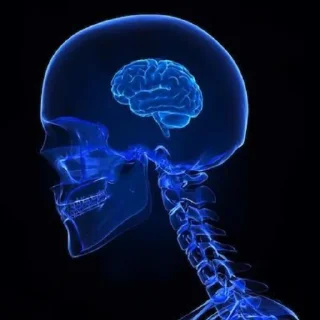 🧠 Стикер «Люди» для Telegram