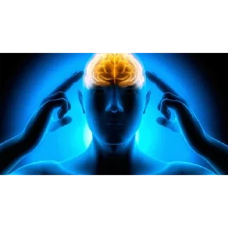 🧠 Стикер «Люди» для Telegram