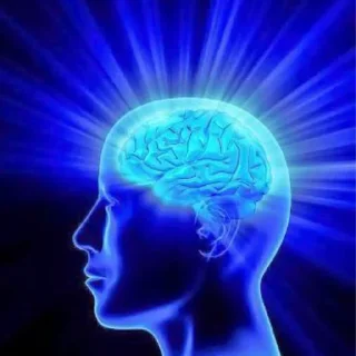 🧠 Стикер «Люди» для Telegram