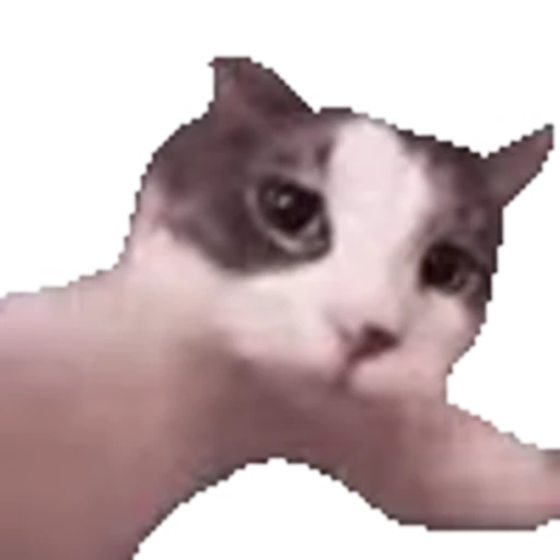 😽 Эмодзи «Pepe's Vibes» для Telegram