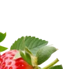 🤩 Эмодзи «Redmoji» для Telegram