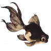 🐟 Эмодзи «» для Telegram