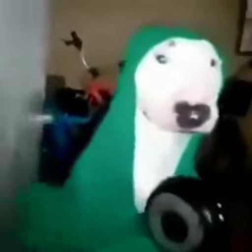 😐 Стикер «Perros» для Telegram