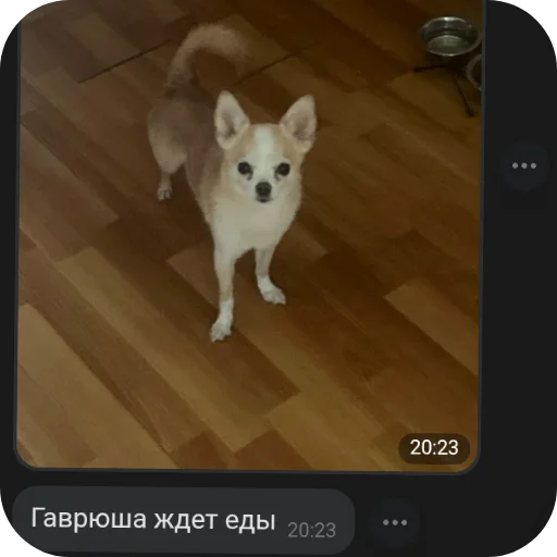👍 Стикер «Персик» для Telegram