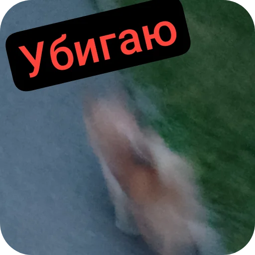🛣 Стикер «Персик» для Telegram