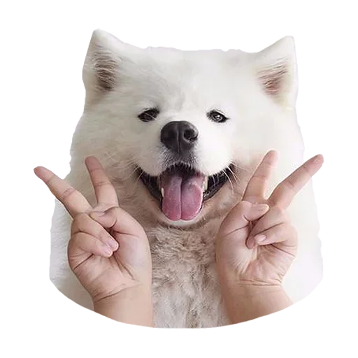 😚 Стикер «Песечки» для Telegram