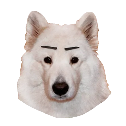 😙 Стикер «Песечки» для Telegram