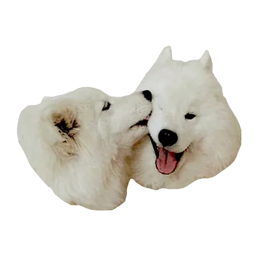 😚 Стикер «Песечки» для Telegram
