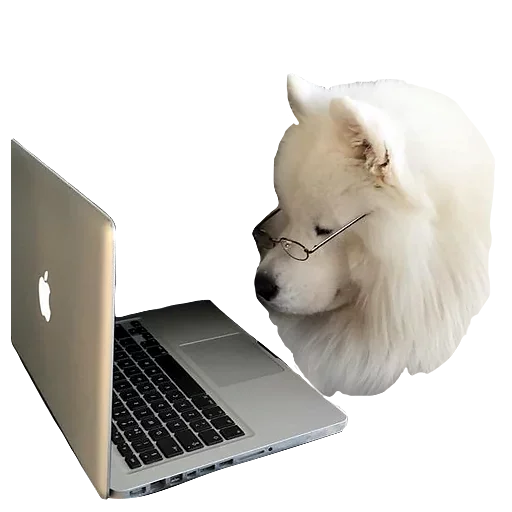 😏 Стикер «Песечки» для Telegram