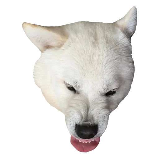 😫 Стикер «Песечки» для Telegram