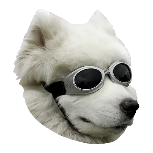 😗 Стикер «Песечки» для Telegram