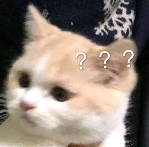 🤔 Стикер «Animal mem» для Telegram
