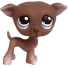 🤩 Эмодзи «littlest pet shop» для Telegram