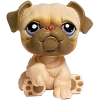 🤩 Эмодзи «littlest pet shop» для Telegram