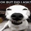 😬 Эмодзи «Фазмафобычи» для Telegram