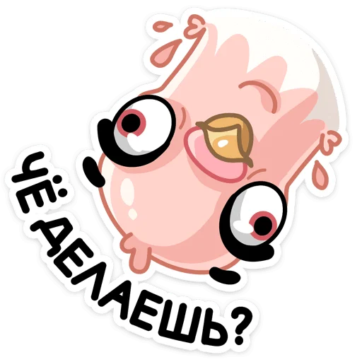 🙃 Стикер «Голуба» для Telegram