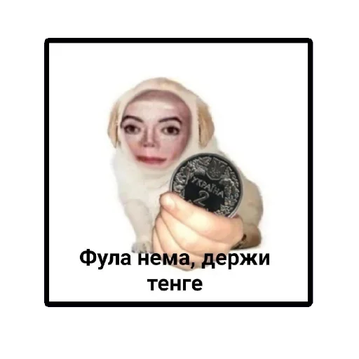 Пикчи (ingysk64)