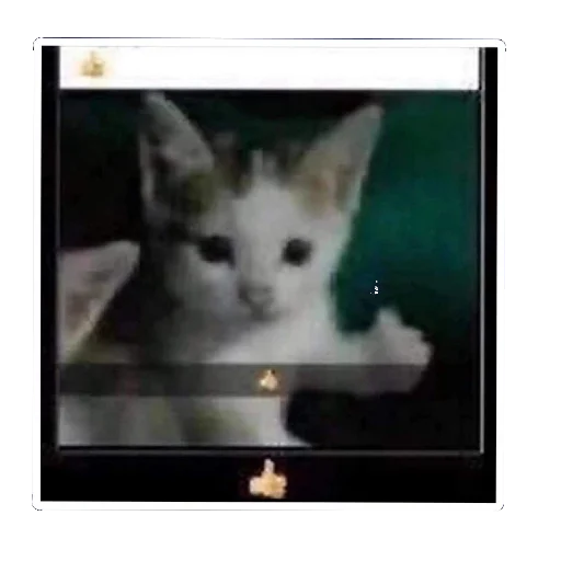 👍 Стикер «Пикчи (ingysk64)» для Telegram