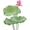 🤩 Эмодзи «Pink Green» для Telegram