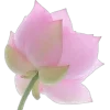 🤩 Эмодзи «fairy aura» для Telegram