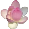 🤩 Эмодзи «fairy aura» для Telegram