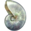 🤩 Эмодзи «fairy aura» для Telegram