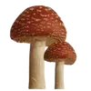 🌟 Эмодзи «Pink Brown Autumn» для Telegram