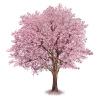 🤩 Эмодзи «Pink Brown Autumn» для Telegram