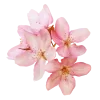 🤩 Эмодзи «pink #розовые #pink» для Telegram