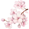 🌸 Эмодзи «pink #розовые #pink» для Telegram