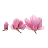 🤩 Эмодзи «pink #розовые #pink» для Telegram