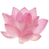 🤩 Эмодзи «pink #розовые #pink» для Telegram