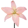 🤩 Эмодзи «pink #розовые #pink» для Telegram
