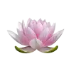 🤩 Эмодзи «pink #розовые #pink» для Telegram