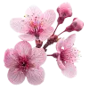 🤩 Эмодзи «pink #розовые #pink» для Telegram