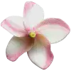 🤩 Эмодзи «pink #розовые #pink» для Telegram