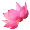 🤩 Эмодзи «pink #розовые #pink» для Telegram
