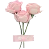🌹 Эмодзи «pink #розовые #pink» для Telegram