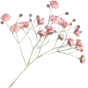 🌸 Эмодзи «pink #розовые #pink» для Telegram