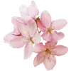 💐 Эмодзи «pink #розовые #pink» для Telegram