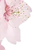 🤩 Эмодзи «pink heaven» для Telegram