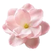 🤩 Эмодзи «pink heaven» для Telegram