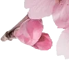 🤩 Эмодзи «pink heaven» для Telegram