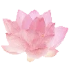 🤩 Эмодзи «pink heaven» для Telegram