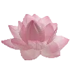 🤩 Эмодзи «pink heaven» для Telegram
