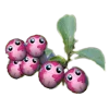 🍇 Эмодзи «Pinkei» для Telegram