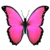 🦋 Эмодзи «Pinkkk» для Telegram