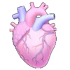 🫀 Эмодзи «pinky emoji kwii» для Telegram