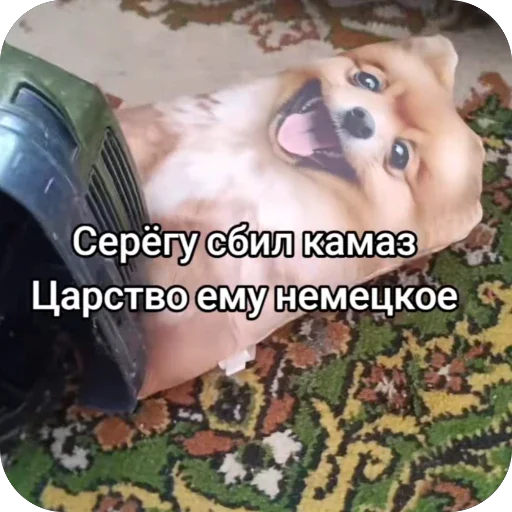 🫥 Стикер «пиздатые» для Telegram